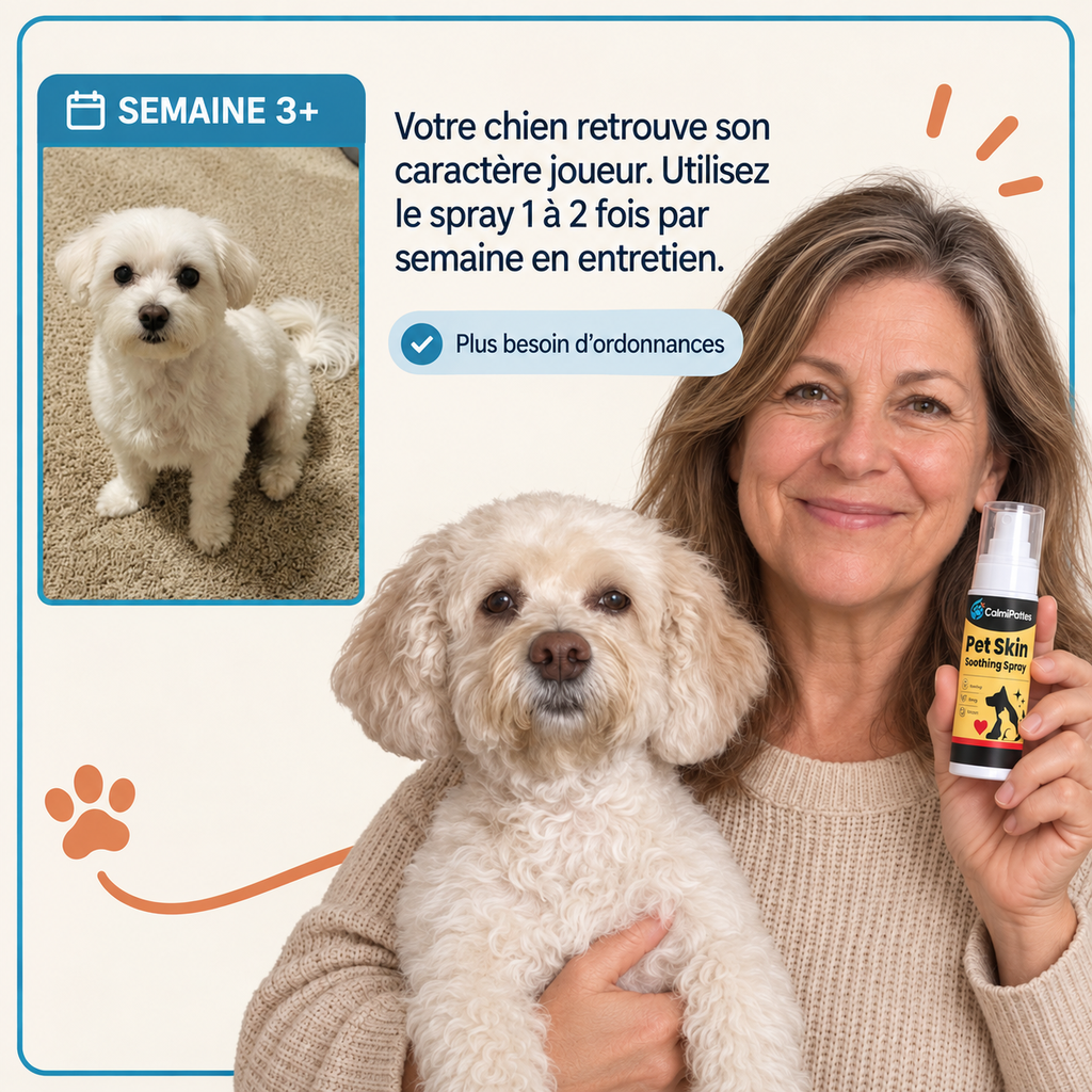 Évolution à partir de la troisième semaine